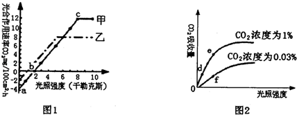 图l是甲乙两种植物在不同光照强度下的光合作用速率的