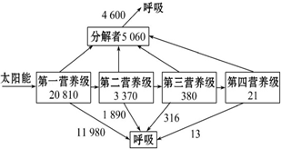 高中生物综合库 稳态与环境  a.