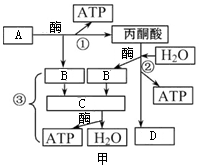 第3节 atp的主要来源——细胞呼吸