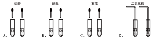 某同学为了区别氢氧化钠溶液和澄清石灰水,设计了如下