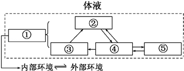 如图所示为人体体液相关组成及各成分间的关系,请依次填出⑤相关