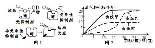 酶促反应速率随底物浓度变化的酶促反应影响酶活性的条件酶活性抑制剂