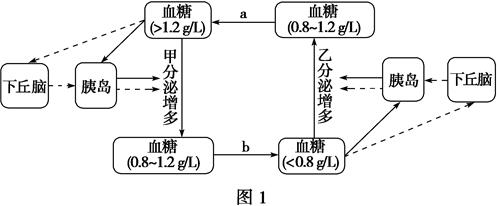 如图1是人体内血糖调节的部分示意图.