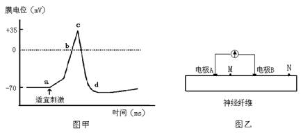 图甲表示置于生理盐水中的离体神经纤维,受刺激前后膜两侧电位变化