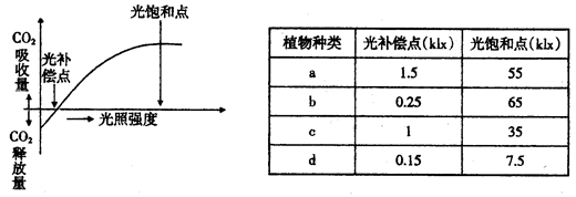 co 2浓度及最适温度下的光补偿点和光饱和点