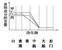 下图中甲,乙,丙三条曲线分别表示食物中三种营养物质在消化道中变化