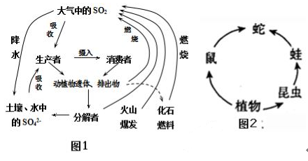 硫循环是物质循环的重要内容,图1是生物圈硫循环简图