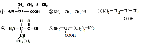 连接甲硫氨酸和赖氨酸,赖氨酸和缬氨酸之间化学键的结构式是