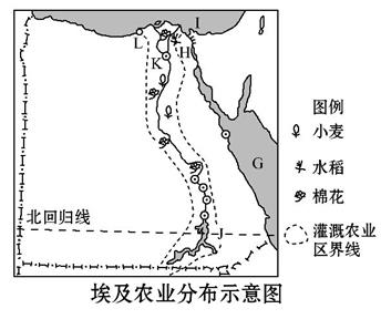 埃及是中东一个重要国家,读埃及农业分布示意图,回答下列问题