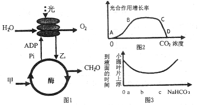 图2表示某光照强度和适宜温度下,光合作用强度增长率随co2浓度变化的