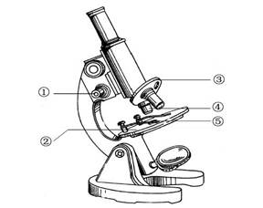 根据显微镜的结构图,回答下列问题.