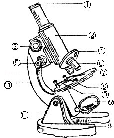如图是显微镜的结构图,请据图回答.