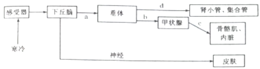 如图为人体内体温的水平衡调节的示意图,下列有关叙述不正确的是