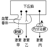 下图为下丘脑对内分泌功能的调节有甲,乙,丙三种方式,请回答有关问题