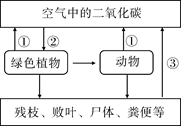 如图是自然界中二氧化碳的循环示意图.请据图回答