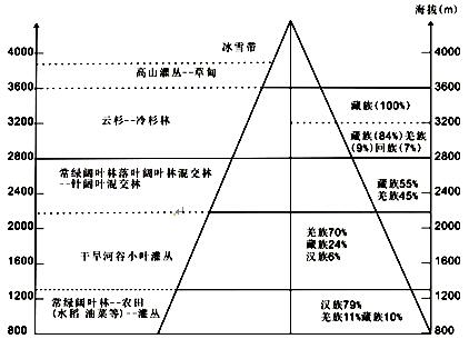 下图为青藏高原东部边缘某山地垂直自然带谱和该山地民族聚落分布比例