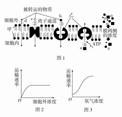 如图是物质跨膜运输示意图,请根据图示回答有关问题