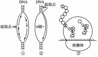 image017.png