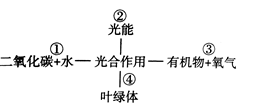 资源平台 初中生物试卷{getgradename'1(1)光合作用的原料是