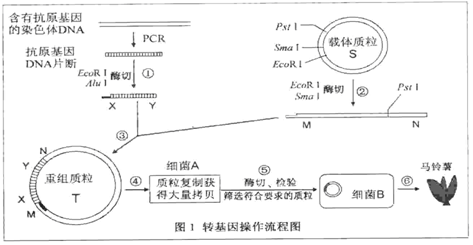 image012.png