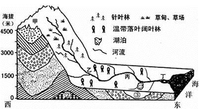 该图为某大河流域的地质构造与地貌示意图读图回答问题