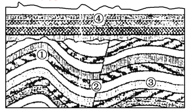 下图为某地沉积岩层剖面图,回答下列问题.