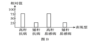 符合孟德尔遗传定律_孟德尔遗传定律教案范文_孟德尔遗传定律图解