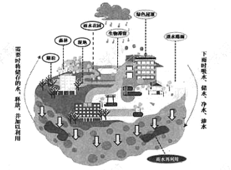 下图为"海绵城市"水循环收集与