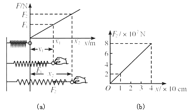 探究弹力和弹簧伸长量的关系的数据处理与误差分析  ① 某同学根据