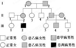 乙病的遗传方式为伴x染色体显性遗传