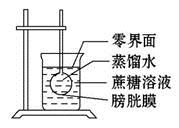 某同学设计了如图所示的渗透作用实验装置,实验开始时长颈漏斗内外液