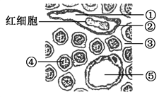 image002.png