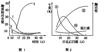 image001.png