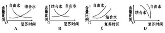 小草被润醒了,杨树被润绿了,报春花被润开的过程中细胞中自由水与结合