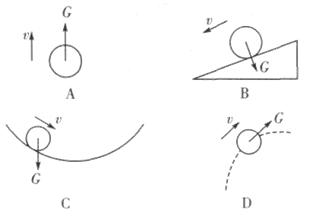 关于物体所受重力的方向,下列表示正确的是()