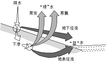 蓝水和绿水根本来源相同 b.蓝水数量与绿水数量相同 c.