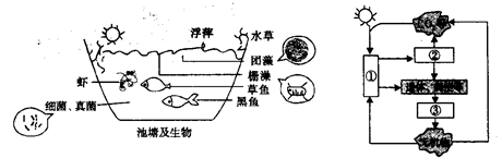 下图为桑基鱼塘农业生态系统局部的能量流动,图中字母代表相应能量.