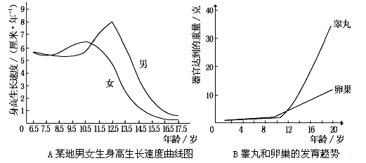 如图是人身体有关不同部位发育速度曲线图,据图回答问题.