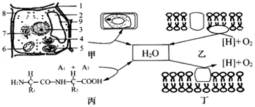 image011.png