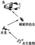 如图是某池塘生态系统中的一条食物链,该池塘被有毒物质污染.