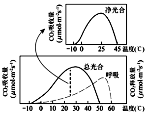 某植物光合作用,呼吸作用与温度的关系如下图.