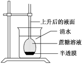某同学为探究膜的通透性而设计了如图所示的渗透装置,开始时烧杯内的