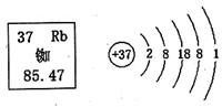 下图为铷在元素周期表的信息和原子结构示意图.下列