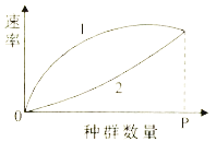 试题版式增长习题答案/曲线/练习题/测试题及种群苯-乙苯二元物系数量塔设计图片