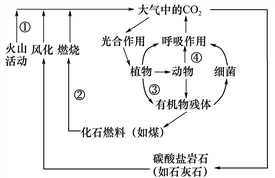 读图,完成下列各题【小题1】碳循环反映了自然地理环境的)a