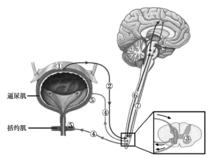 image001.png