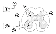 image001.png