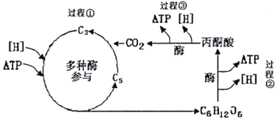 image011.png