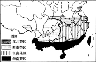 我国茶树种植面积广大,下图为我国四大茶区分布图.读图,完成下列各题.