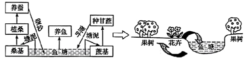 基塘农业是珠江三角洲的